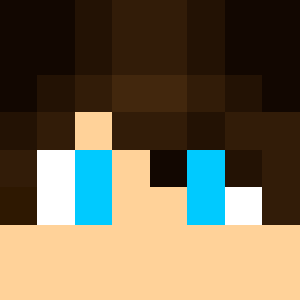 BERN - Avatar Minecraft